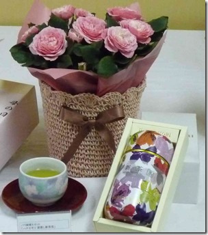 ピンクのミニバラを母の日に | ベランダでバラ栽培を楽しんで貰う