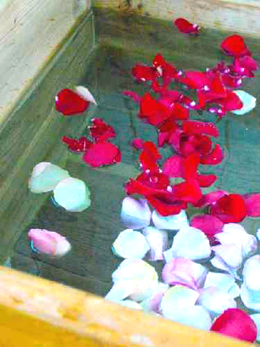 バラ花びらが浮かぶお風呂