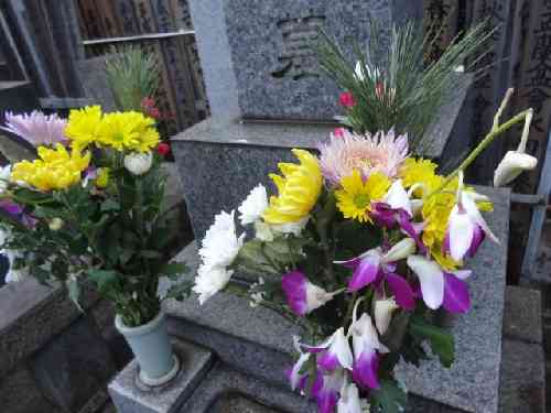 墓参りの花